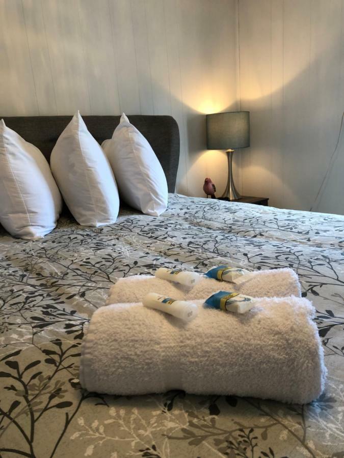 Alma'S Cape Shore Cottage! Your Home Away From Home! Бонависта Екстериор снимка